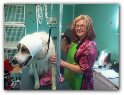 Happy Hoodie calms dogs in the grooming salon